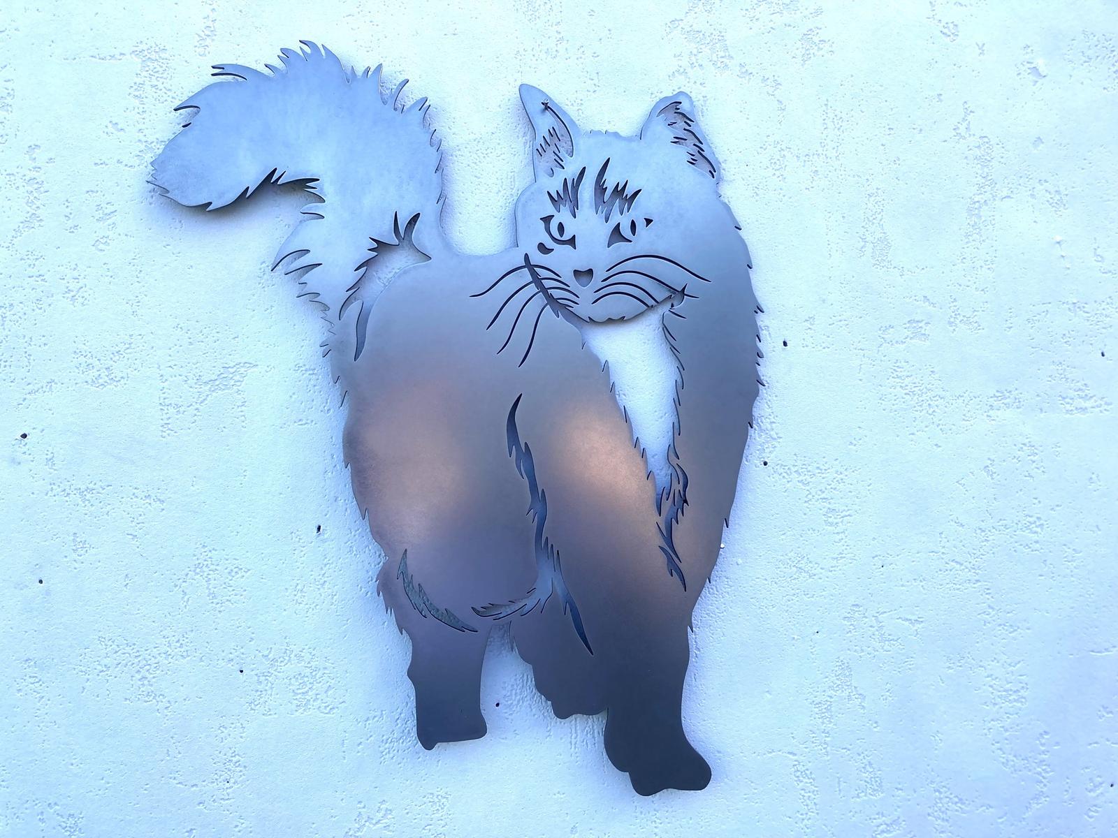 INT35 - Chat Angora