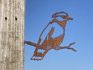 AC10 - Oiseau huppé