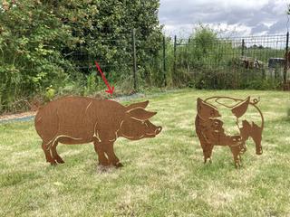 AC36 - Cochon de profil