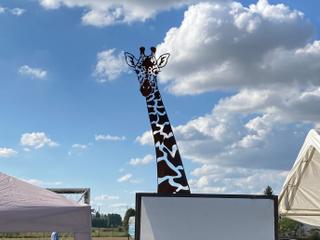 AC47 - Tête de girafe femelle