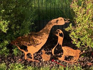 AC6 - Oison éveillé