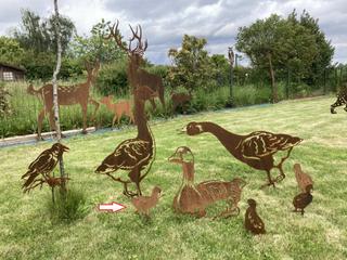 AC7 - Oison en marche