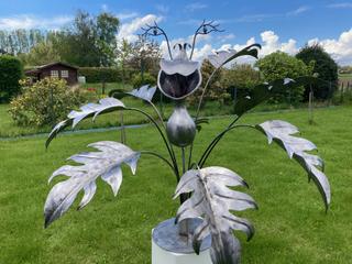 FL3 - Plante carnivore XL