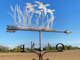 GIR12 - Canards en vol