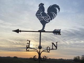 GIR3 - Coq Français