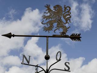 GIR7 - Lion des Flandres