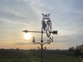 GIR8 - Hibou