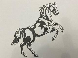 INT16 - Cheval cabré