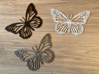 INT3 - Petit papillon
