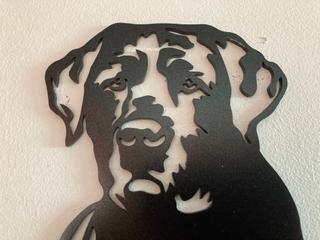 INT30 - Labrador