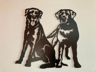 INT31 - Couple de labradors